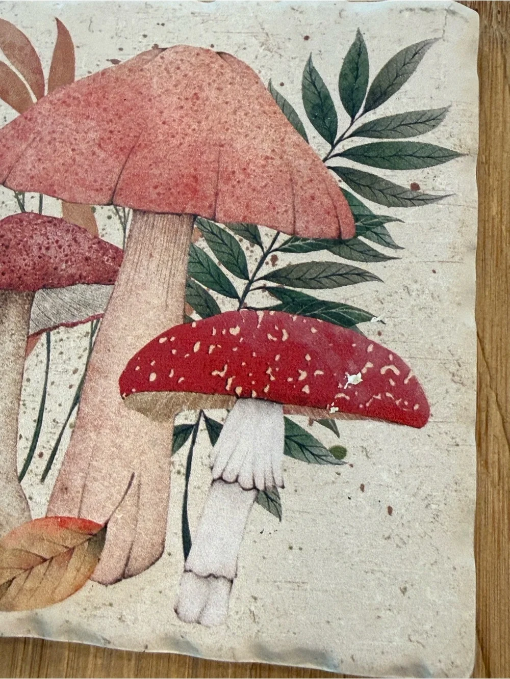 Mushroom Coasters Set of 4 Cottagecore Fairy Forest Whimsical Home Decor
